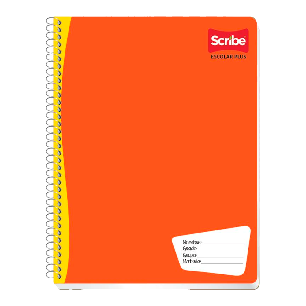 CUADERNO SCRIBE CUADR. CHICA 100 HJS