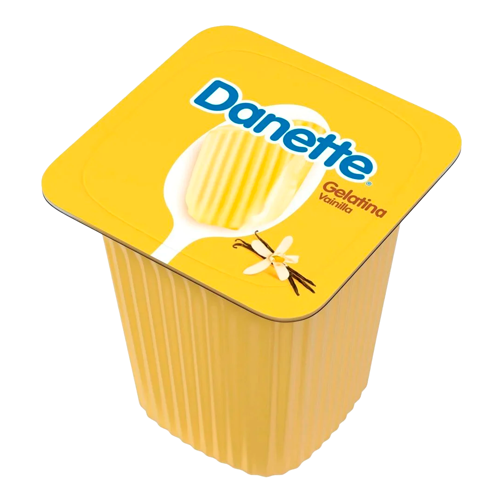 GELATINA DANETTE LECHE VAINILLA 100