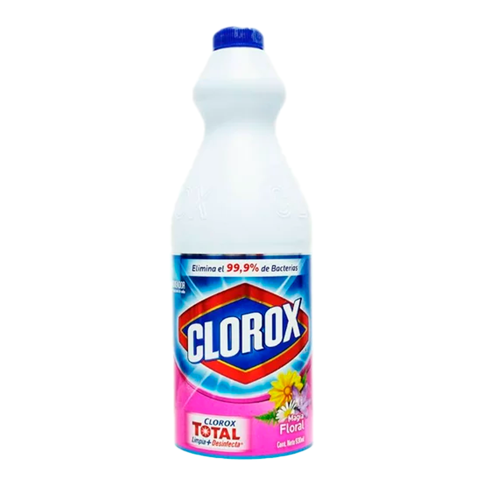 CLOROX DESINF. FLORAL .930 15 S