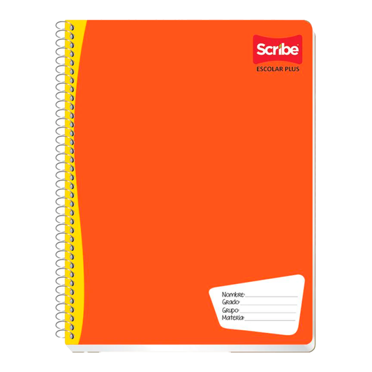 CUADERNO SCRIBE CUADR. CHICA 100 HJS