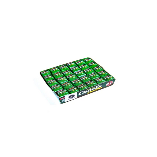 D CHICLE CANEL S 4 PAST. CLOROFILA 60 S (40)